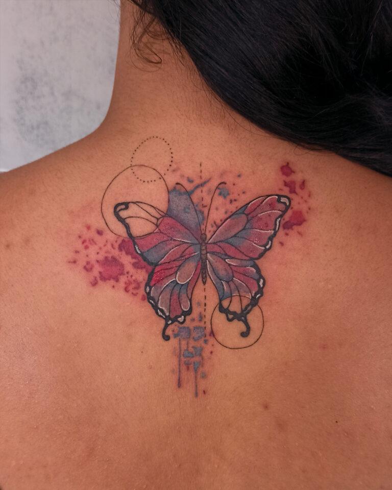 Borboleta Isabela3